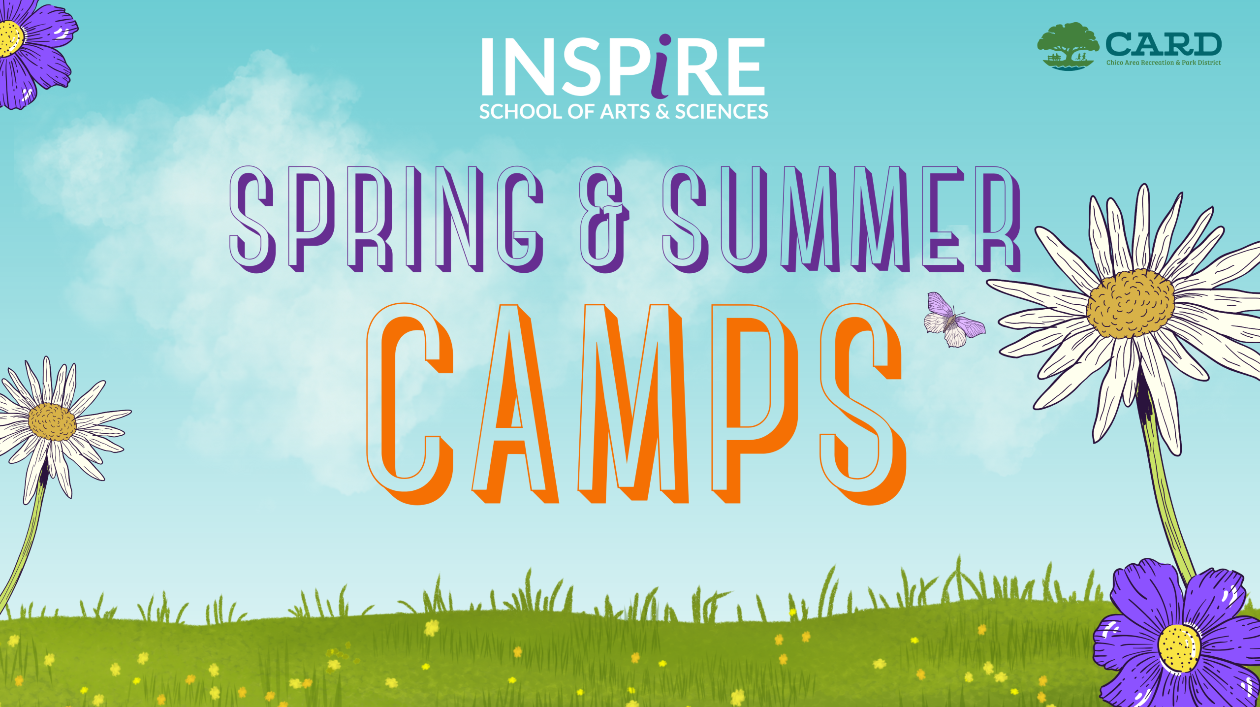 Spring & Summer Camps